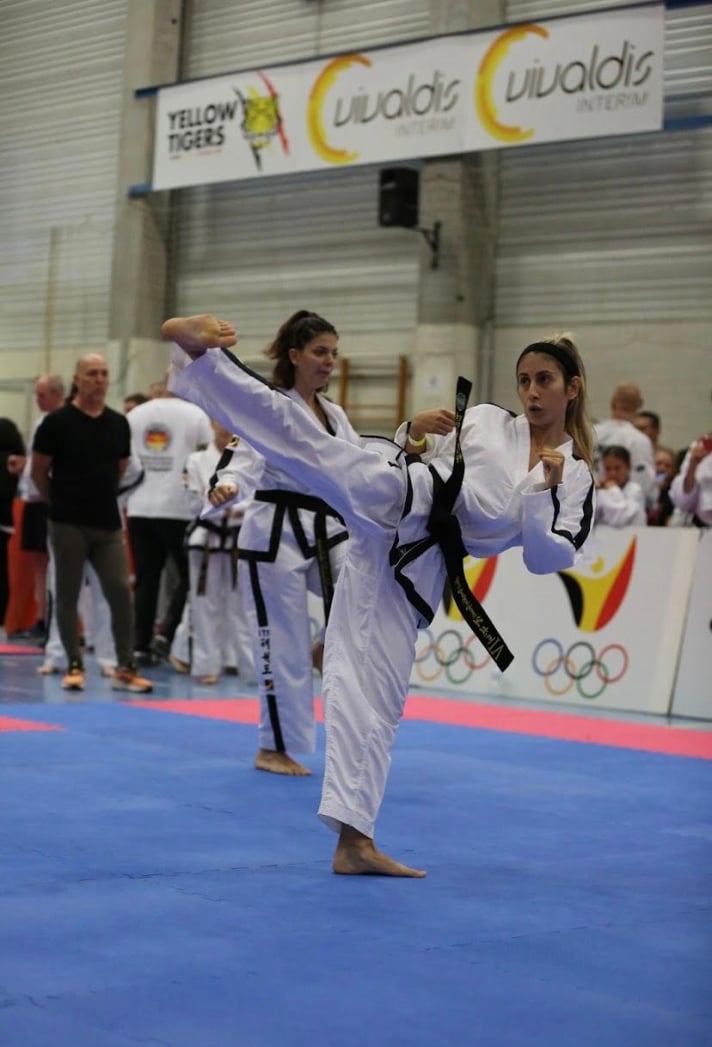 Asociación Taekwon-Do Integral Sur